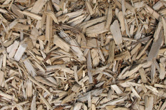 biomass boilers Picket Hill